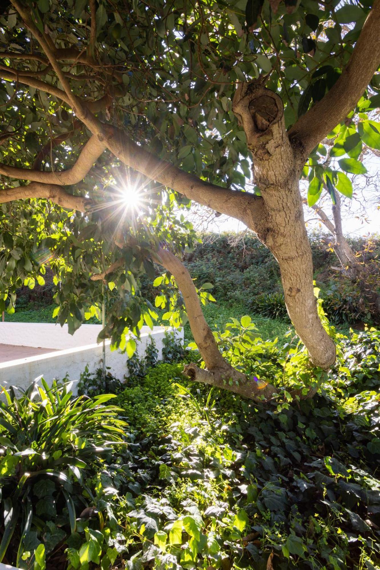 Lightbooking Casa De Campo Ortigal Tenerife La Esperanza  Exteriér fotografie